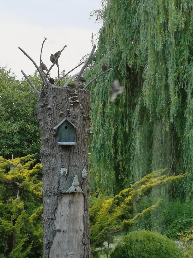 Apartmán Vakantieboerderij Misset Goor Exteriér fotografie