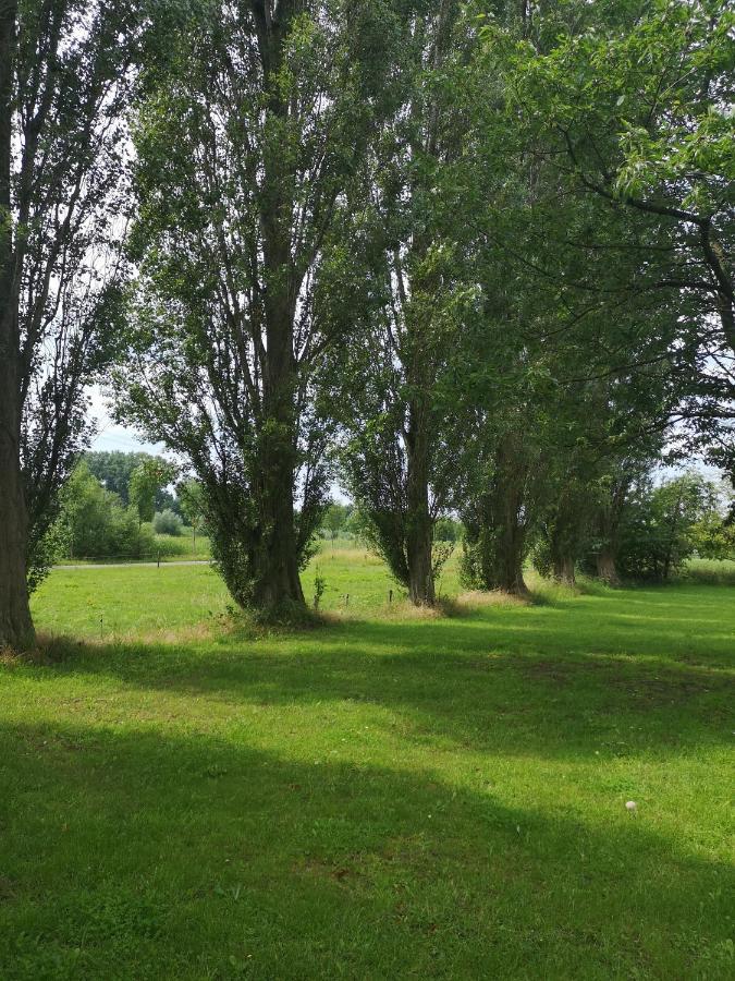 Apartmán Vakantieboerderij Misset Goor Exteriér fotografie