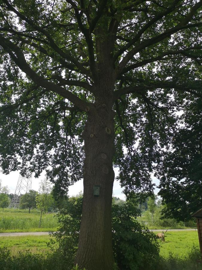 Apartmán Vakantieboerderij Misset Goor Exteriér fotografie
