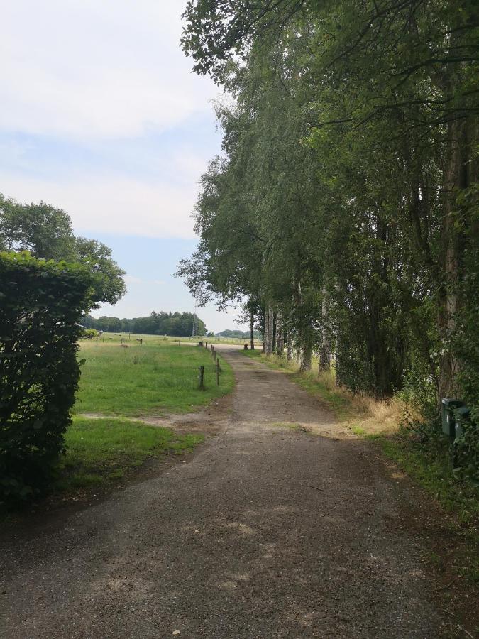 Apartmán Vakantieboerderij Misset Goor Exteriér fotografie